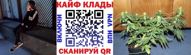 Магазин наркотиков Курлово ГАШ  Alpha PVP  БУТИРАТ  КОКАИН  Меф 
