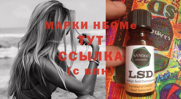 прущие грибы Алексеевка